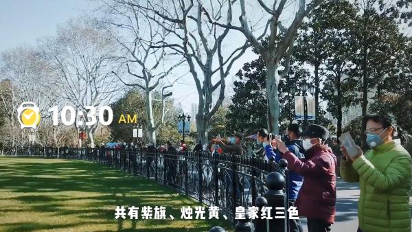 踏青赏花！上海鲁迅公园恢复开放