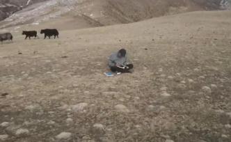 藏族男生每天花40分钟，爬山顶上网课