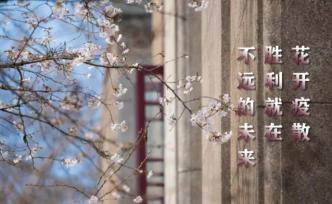 武大学生用代码画樱花，花中藏武汉加油