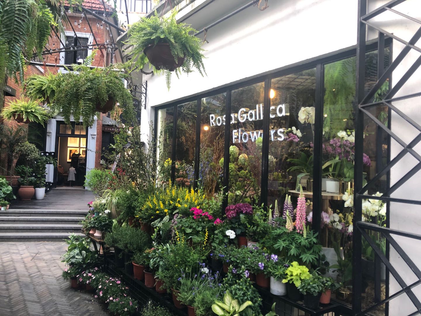 上海武康路网红花店抗"疫"记:房东减免房租,网络订单火爆