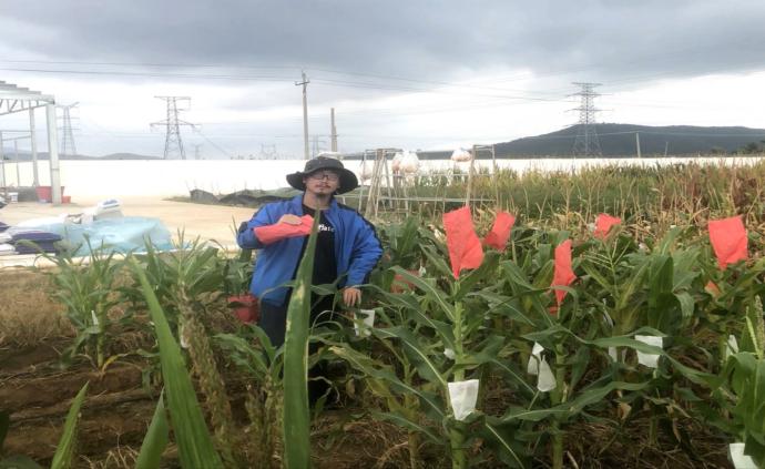 华农倡议师生就地春耕：把论文写在大地上