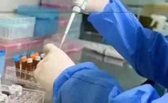 为查找无症状新冠肺炎患者数量，荷兰将大规模检测献血样本
