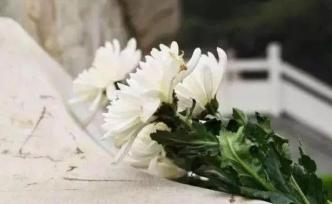 福州發(fā)布通知：暫停組織群體性祭掃活動(dòng)，適度開(kāi)放陵園祭掃