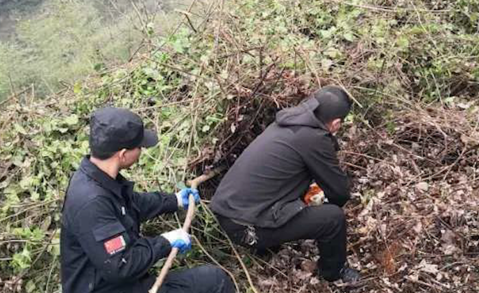 湖南一对母女遭毒杀并抛尸，嫌疑人落网