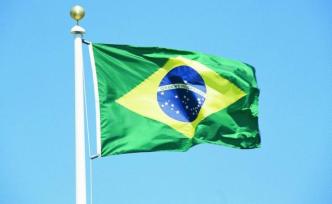 巴西参众议长代表国会就议员爱德华多辱华言论向中方致歉