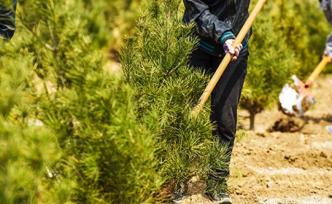 国务院：在防疫条件下积极有序推进春季造林绿化工作