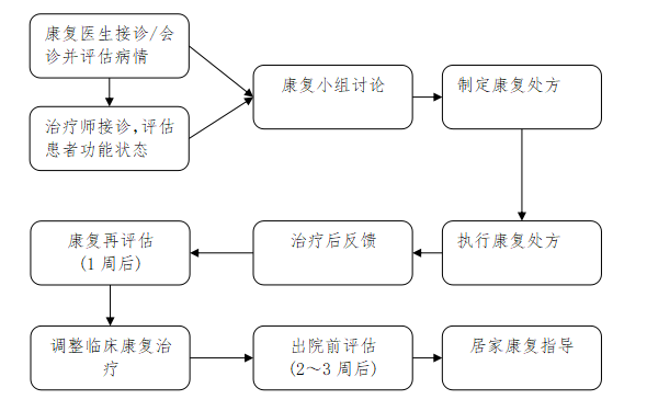 康复科诊疗流程图图片