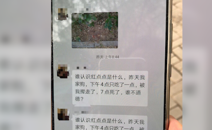 小区猫狗接连被毒，警方介入