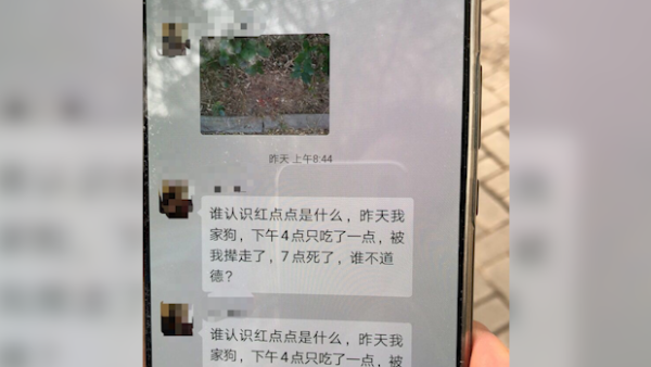 小区猫狗接连被毒，警方介入