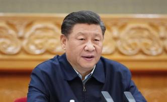 习近平在北京出席G20领导人应对新冠肺炎特别峰会