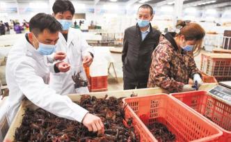 湖北小龙虾已顺利销往三百多个城市，日销量超过650吨