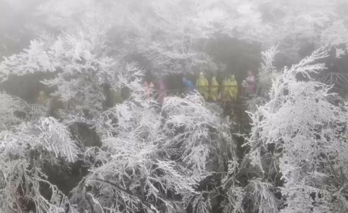 漫山春花变冰花，张家界天门山三月降雪