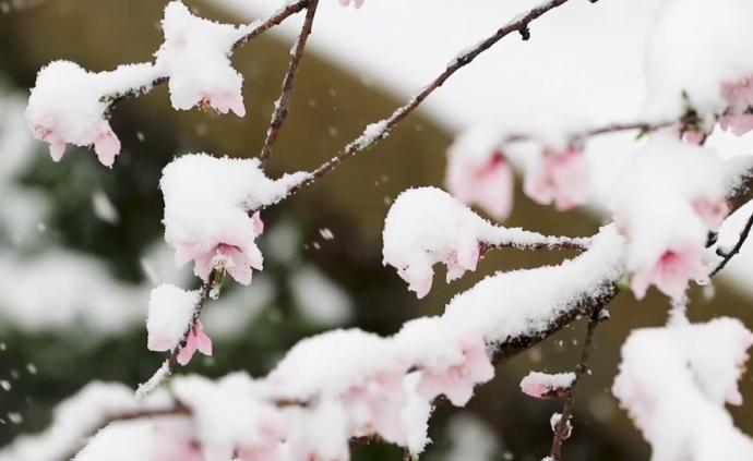 一场春雪，神农架成童话世界