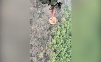 直升机镜头下的泸山：森林灰绿界线分明