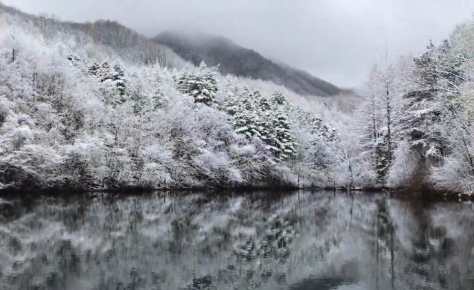 美！洛阳白云山迎三月“桃花雪”