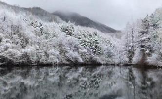 美！洛陽白云山迎三月“桃花雪”