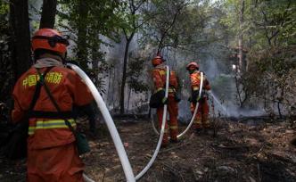 西昌“肺叶”之痛：十年四次大火，专家曾建议分割云南松林区
