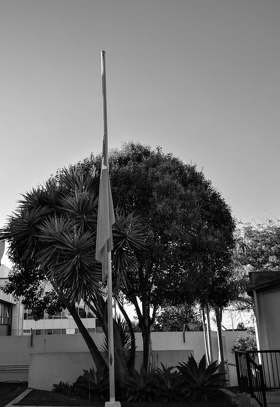 4月4日清晨，中国驻新西兰奥克兰总领馆下半旗志哀。-1