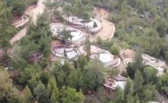 山林现20座豪华墓地，村委：拆除并绿化