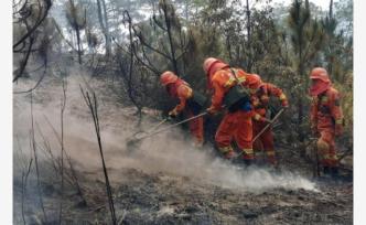 近期森林火灾多发频发，四川省、凉山州人民政府被约谈