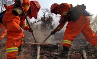 应急管理部：近十年森林草原火灾中97%以上是人为原因引发