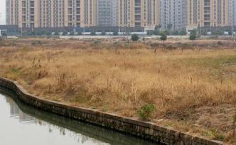 上海：加快经营性用地出让节奏，允许房企延期缴纳土地增值税