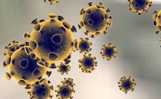 遗传学家：有害突变积累能使新冠病毒崩溃，促进病毒种群灭绝