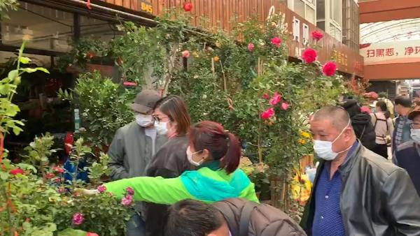 上海最大花鸟市场复市，房租减免两个月