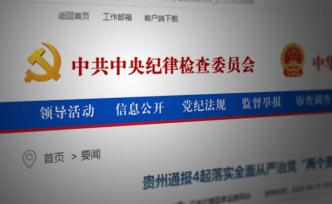 贵州黎平填报数据不实，统计局局长和副局长被党内严重警告