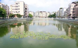 广州：2020年全面清除涉水违法建设、消除黑臭小微水体