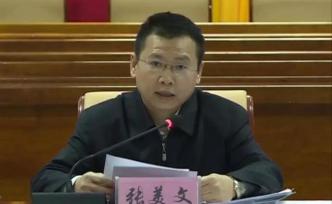 海南省委宣传部副部长张美文接受审查调查