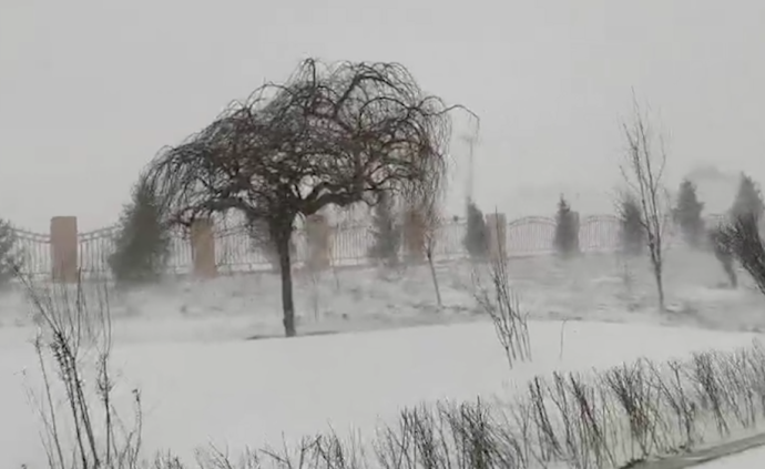 呼伦贝尔四月降雪：部分地区出现积雪掩门