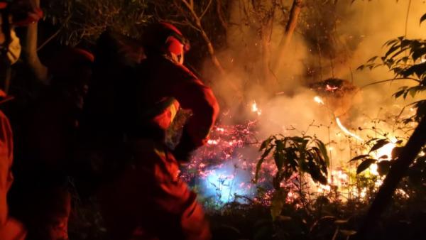 漳州发生森林火灾，过火面积约40亩