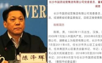 退休三年，长沙原常务副市长陈泽珲与儿子同日接受调查