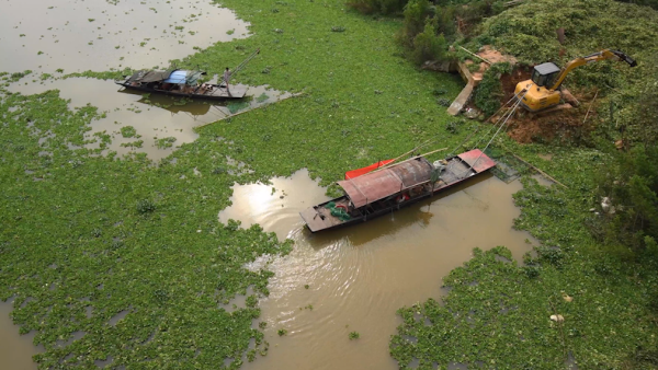 河道水葫芦泛滥，工人每日打捞30吨