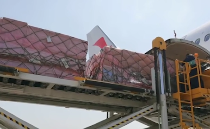 陜西首架“客改貨”包機(jī)載防疫物資飛迪拜