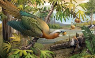 鸟类如何躲过6500万年前的大灭绝事件？牙齿可能是关键