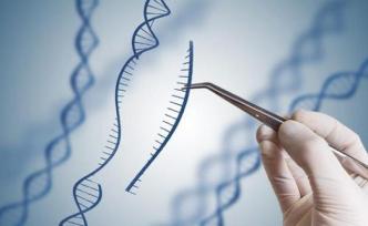 复旦科学家发现新小型基因编辑工具，基因治疗迎来理想型工具