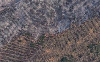 西昌经久乡森林火灾后续：泸山将应急恢复植被并延伸水利管网