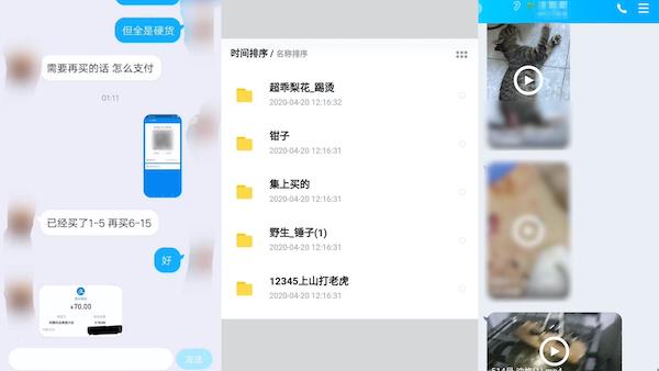 虐猫黑产：拉群卖虐猫视频，与虐狗群互通