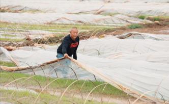 盘活100多亩农田，单手农民劳动脱贫