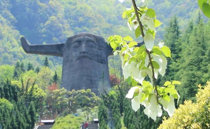 神农架迎赏花季：鸽子花、高山杜鹃盛开