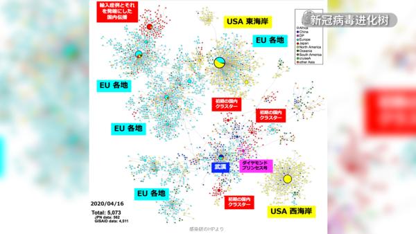 日本研究：现阶段境内新冠病毒或来自欧美