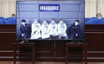 鄱阳湖越冬候鸟捕杀案一审宣判：4名被告人均获刑
