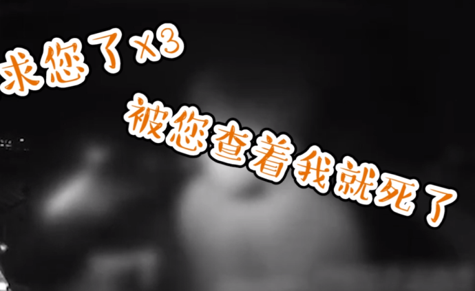 大二學生酒駕被抓哭求民警:被查著就死了