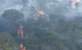 四川凉山喜德与冕宁交界处发生森林火灾，800余人参与扑救