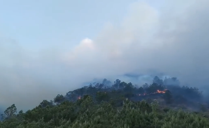 突发！凉山再起山火，现正全力扑救