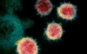 中国研究人员首次发现新冠病毒可能还潜伏在精液中