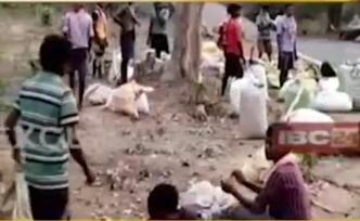 连夜出逃！印度一隔离中心工人集体逃跑