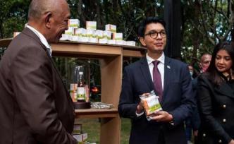 马达加斯加称非洲草药混合饮料可治愈新冠，世卫组织表示担忧